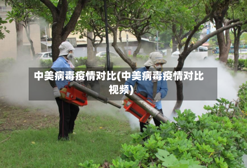 中美病毒疫情对比(中美病毒疫情对比视频)-第2张图片
