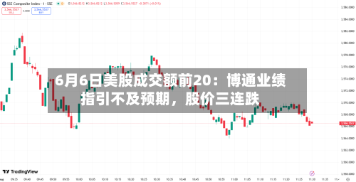 6月6日美股成交额前20：博通业绩指引不及预期，股价三连跌-第2张图片