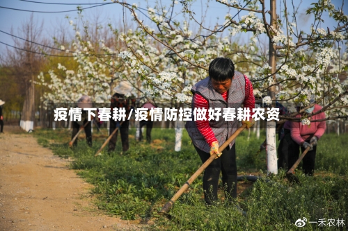 疫情下春耕/疫情防控做好春耕农资-第2张图片