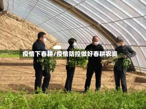 疫情下春耕/疫情防控做好春耕农资